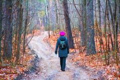 Une femme marche le long d'un chemin en parc dans une forêt en automne photographie stock libre de droits Une femme marche le long d'un chemin en parc dans une forêt en automne photographie stock libre de droits