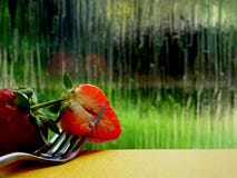 Une fin de moitié d'une fraise photographie stock libre de droits Une fin de moitié d'une fraise photographie stock libre de droits