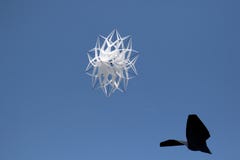 Une fleur blanche d'étoile et un cerf-volant noir de dragon au festival de cerf-volant au geeste Allemagne de mer de stockage photos libres de droits Une fleur blanche d'étoile et un cerf-volant noir de dragon au festival de cerf-volant au geeste Allemagne de mer de stockage photos libres de droits