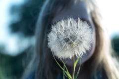 Une fleur dans les mains d'un enfant image libre de droits Une fleur dans les mains d'un enfant image libre de droits