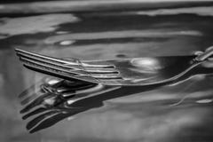 Une fourchette i une cuvette de l'eau moulant une ombre photo stock Une fourchette i une cuvette de l'eau moulant une ombre photo stock