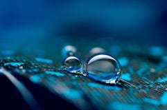 Une image abstraite des plumes pelucheuses de couleur bleue avec la baisse de rosée de l'eau de deux macros, beau fond naturel image libre de droits Une image abstraite des plumes pelucheuses de couleur bleue avec la baisse de rosée de l'eau de deux macros, beau fond naturel image libre de droits