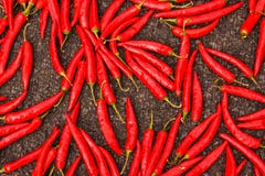une image du s?chage de poivron rouge d'automne photo stock une image du s?chage de poivron rouge d'automne photo stock