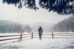 Une jeune fille a une promenade par une forêt épaisse pendant un beau jour d'hiver photographie stock Une jeune fille a une promenade par une forêt épaisse pendant un beau jour d'hiver photographie stock