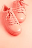 Une paire de chaussures de corail sur le fond de corail images libres de droits Une paire de chaussures de corail sur le fond de corail images libres de droits