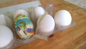 Une photographie de plan rapproché d'un oeuf de pâques en plastique peint simple a niché à l'intérieur d'un carton en plastique d image stock Une photographie de plan rapproché d'un oeuf de pâques en plastique peint simple a niché à l'intérieur d'un carton en plastique d image stock