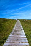 Une promenade en bois, une herbe verte et un ciel bleu photographie stock libre de droits Une promenade en bois, une herbe verte et un ciel bleu photographie stock libre de droits