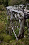 Une structure de pont en bois dans un forrest à la voie de Humpridge dans le Southland en île du sud du Nouvelle-Zélande photos stock Une structure de pont en bois dans un forrest à la voie de Humpridge dans le Southland en île du sud du Nouvelle-Zélande photos stock