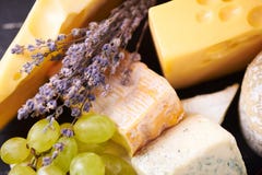 Une sélection de fromage fin Photo libre de droits Une sélection de fromage fin Photo libre de droits