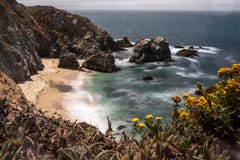 Une vue d'une plage au point Reyes National Park, la Californie, ajonc encadre la vue à la plage images stock Une vue d'une plage au point Reyes National Park, la Californie, ajonc encadre la vue à la plage images stock