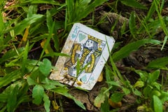 Une vue intéressante d'une carte de jeu sale, vieille et jetée, roi des coeurs, trouvé dans l'herbe en parc de jardin photos libres de droits Une vue intéressante d'une carte de jeu sale, vieille et jetée, roi des coeurs, trouvé dans l'herbe en parc de jardin photos libres de droits
