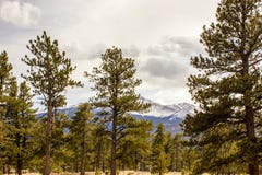 Une vue majestueuse de Rocky Mountain National Park, le Colorado, Etats-Unis image libre de droits Une vue majestueuse de Rocky Mountain National Park, le Colorado, Etats-Unis image libre de droits