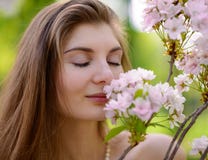 Ung härlig kvinna som luktar en rosa Sakura Flowers arkivfoto Ung härlig kvinna som luktar en rosa Sakura Flowers arkivfoto