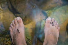 Ung man som har terapi f?r antimonfiskbrunnsort och fotmassage royaltyfria bilder Ung man som har terapi f?r antimonfiskbrunnsort och fotmassage royaltyfria bilder