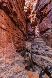 ung man som tycker om sikten av ledstångpölen, Weano klyfta, Karijini nationalpark, västra Australien arkivfoton ung man som tycker om sikten av ledstångpölen, Weano klyfta, Karijini nationalpark, västra Australien arkivfoton