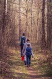 Ungar som fotvandrar till och med en skog arkivbilder Ungar som fotvandrar till och med en skog arkivbilder
