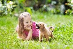 Ungelek med valpen Barn och hund i trädgård fotografering för bildbyråer Ungelek med valpen Barn och hund i trädgård fotografering för bildbyråer