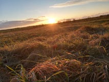 Unikalny jesień dzień w naturze zdjęcia stock Unikalny jesień dzień w naturze zdjęcia stock
