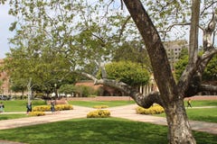 Universiteit van de Studentengang van Californië Los Angeles UCLA op de campus Royalty-vrije Stock Afbeelding Universiteit van de Studentengang van Californië Los Angeles UCLA op de campus Royalty-vrije Stock Afbeelding