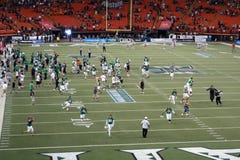University of Hawaii players and fans rush on the field to celeb royalty free stock photos University of Hawaii players and fans rush on the field to celeb royalty free stock photos