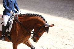 Portrait close up of dressage sport horse with unknown rider Stock Photos Portrait close up of dressage sport horse with unknown rider Stock Photos