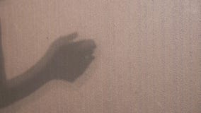 Unrecognizable Woman Showing a Shadow Theater, Hand Depicting a Dog. 4K