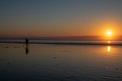 Unter Verwendung eines Metalldetektors zum Suchen nach verstecktem Schatz auf einem Strand bei Sonnenuntergang lizenzfreie stockfotos Unter Verwendung eines Metalldetektors zum Suchen nach verstecktem Schatz auf einem Strand bei Sonnenuntergang lizenzfreie stockfotos