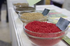 Unterschiedliche genetisch geänderte landwirtschaftliche Hirse in der Glasuntertasse stockbilder Unterschiedliche genetisch geänderte landwirtschaftliche Hirse in der Glasuntertasse stockbilder