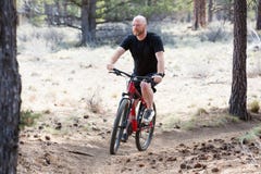 Uomo calvo che guida un mountain bike su una traccia della sporcizia nella foresta Immagini Stock Libere da Diritti Uomo calvo che guida un mountain bike su una traccia della sporcizia nella foresta Immagini Stock Libere da Diritti