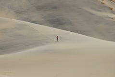 Uomo che funziona sulla duna di sabbia del Eureka immagine stock Uomo che funziona sulla duna di sabbia del Eureka immagine stock
