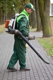 Uomo con il ventilatore di foglio Fotografia Stock Libera da Diritti Uomo con il ventilatore di foglio Fotografia Stock Libera da Diritti