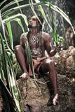 Uomo di colore con i dreadlocks nell'immagine dell'indiano di Taino nel suo habitat Immagini Stock Uomo di colore con i dreadlocks nell'immagine dell'indiano di Taino nel suo habitat Immagini Stock