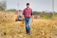 Uomo nel campo di cereale fotografie stock libere da diritti Uomo nel campo di cereale fotografie stock libere da diritti
