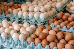 Uova del pollo da vendere ad un souk a Agadir, Marocco immagine stock Uova del pollo da vendere ad un souk a Agadir, Marocco immagine stock