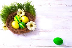 Uova di Pasqua gialle e verdi in un nido fotografie stock libere da diritti Uova di Pasqua gialle e verdi in un nido fotografie stock libere da diritti