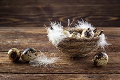 Uova di quaglie in un nido immagini stock libere da diritti Uova di quaglie in un nido immagini stock libere da diritti