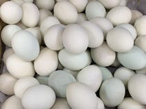 Uova fresche dell'anatra che vendono nel mercato fotografie stock Uova fresche dell'anatra che vendono nel mercato fotografie stock