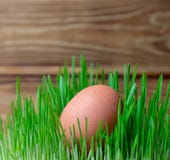 Uovo nella dieta sana di dieta di forma fisica di Pasqua dell'erba verde immagini stock Uovo nella dieta sana di dieta di forma fisica di Pasqua dell'erba verde immagini stock