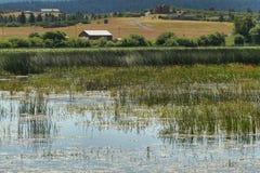 Upper Klamath National Wildlife Refuge Royalty Free Stock Photography Upper Klamath National Wildlife Refuge Royalty Free Stock Photography