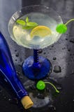 Uppfriskande alkoholiserad coctail arkivfoto Uppfriskande alkoholiserad coctail arkivfoto