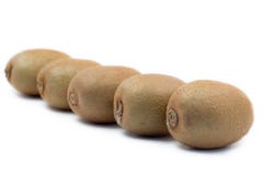 uppställda kiwis arkivbilder uppställda kiwis arkivbilder