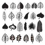 Uppsättning av leaves1 stock illustrationer Uppsättning av leaves1 stock illustrationer