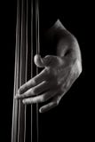 Upright Bass Stock Image Upright Bass Stock Image