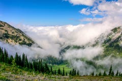 Uragano Ridge In le montagne del parco nazionale olimpico, Stato del Washington Fotografia Stock Libera da Diritti Uragano Ridge In le montagne del parco nazionale olimpico, Stato del Washington Fotografia Stock Libera da Diritti
