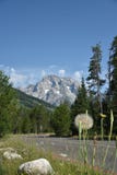 Uroczysty Teton parka narodowego krajobraz zdjęcie stock Uroczysty Teton parka narodowego krajobraz zdjęcie stock