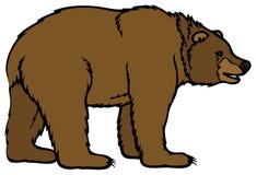 Urso ilustração royalty free