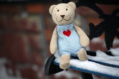 Urso de lãs do banco do inverno fotografia de stock Urso de lãs do banco do inverno fotografia de stock