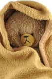 Urso e cobertor fotos de stock royalty free