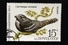 .The USSR postage stamp, Series - Birds - Demonstrators of the Forest, 1979 stock photos .The USSR postage stamp, Series - Birds - Demonstrators of the Forest, 1979 stock photos