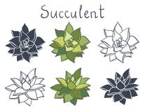 Ustawia tłustoszowatej rośliny w pustynnej kolekcji royalty ilustracja Ustawia tłustoszowatej rośliny w pustynnej kolekcji royalty ilustracja